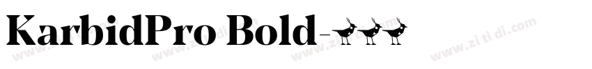 KarbidPro Bold字体转换
